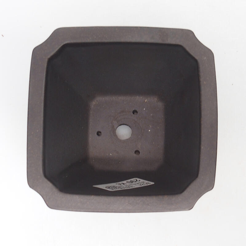 Bol pour bonsaï 10 x 10 x 10 cm, couleur brun ocre