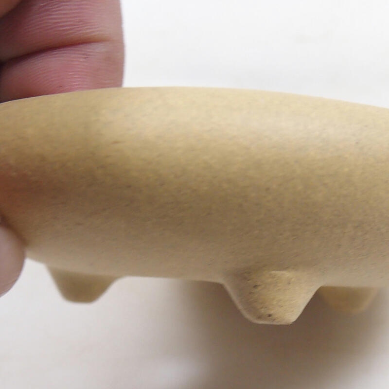 Coupe bonsaï 11 x 11 x 3,5 cm, couleur ocre