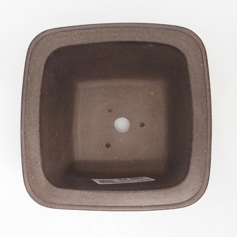 Coupe bonsaï 11 x 11 x 7,5 cm, couleur brun ocre