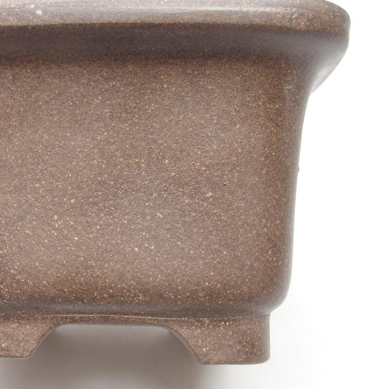 Coupe bonsaï 11 x 11 x 7,5 cm, couleur brun ocre