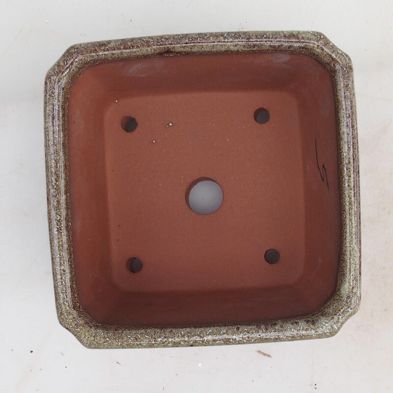 Bol pour bonsaïs 12 x 12 x 8 cm, brun