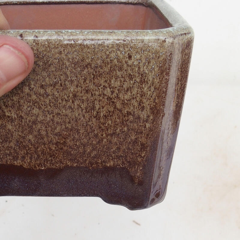 Bol pour bonsaïs 12 x 12 x 8 cm, brun