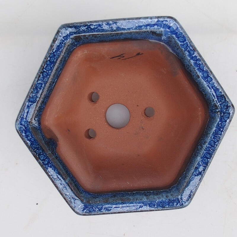 Bol pour bonsaïs 13 x 12 x 7 cm, couleur bleu