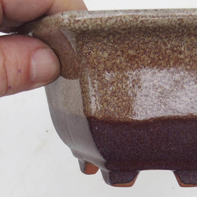 Bol pour bonsaïs 13 x 12 x 7 cm, couleur brun bordeaux