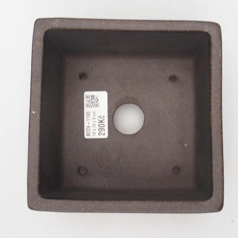 Coupe bonsaï 13 x 13 x 8 cm, couleur ocre brunâtre