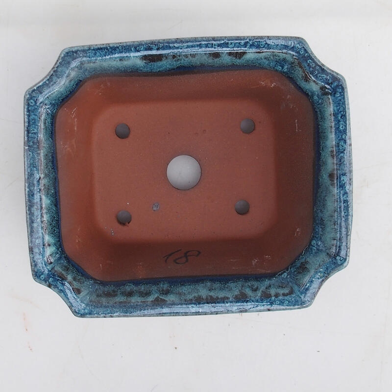 Bol bonsaï 14 x 12 x 6 cm, couleur bleu-blanc