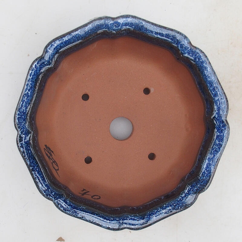 Bol à bonsaï 14 x 14 x 5,5 cm, couleur bleu