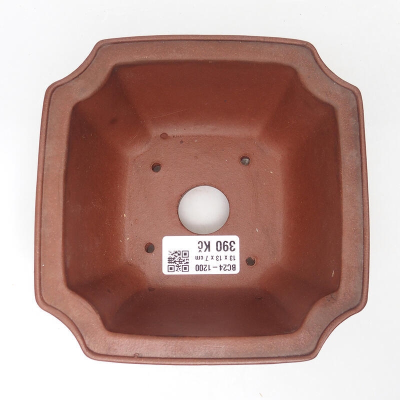 Bol pour bonsaïs 14 x 14 x 7 cm, brun