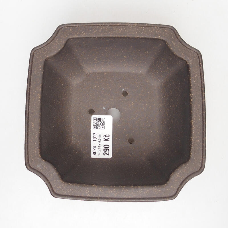 Bol pour bonsaï 14 x 14 x 7 cm, couleur ocre brunâtre