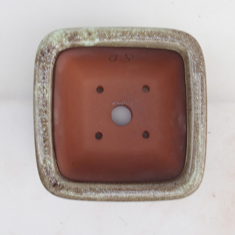 Bol à bonsaï 14 x 14 x 8 cm, couleur brun bordeaux