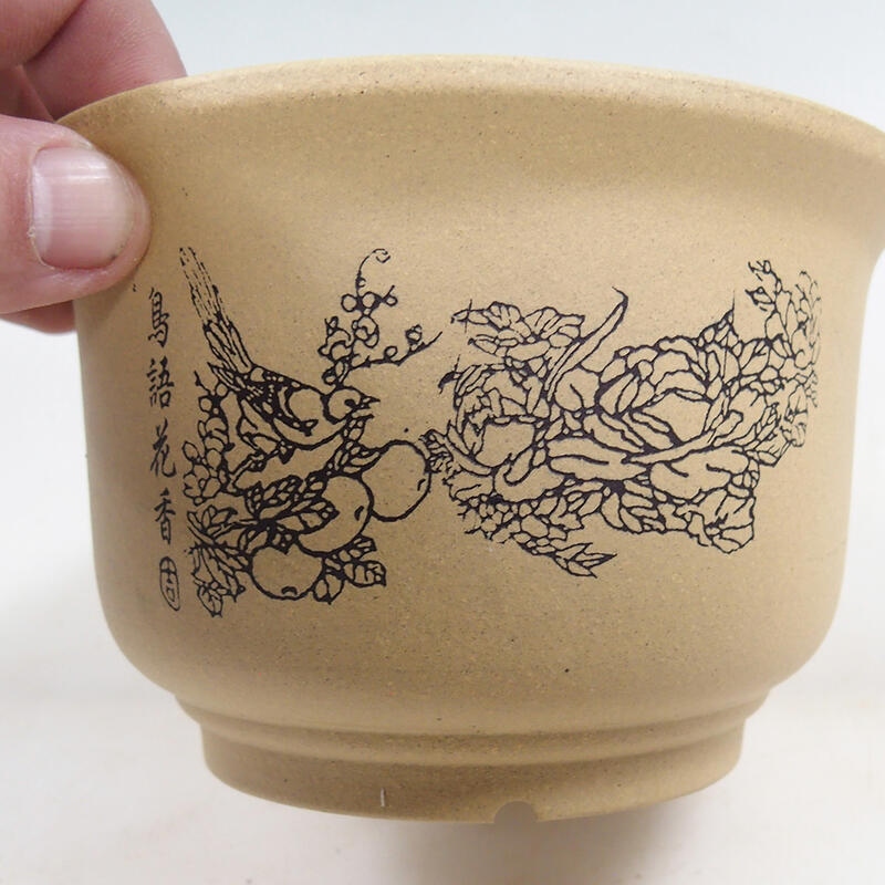 Coupe bonsaï 14 x 14 x 9 cm, couleur ocre