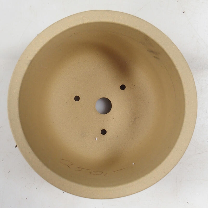 Coupe bonsaï 14 x 14 x 9 cm, couleur ocre