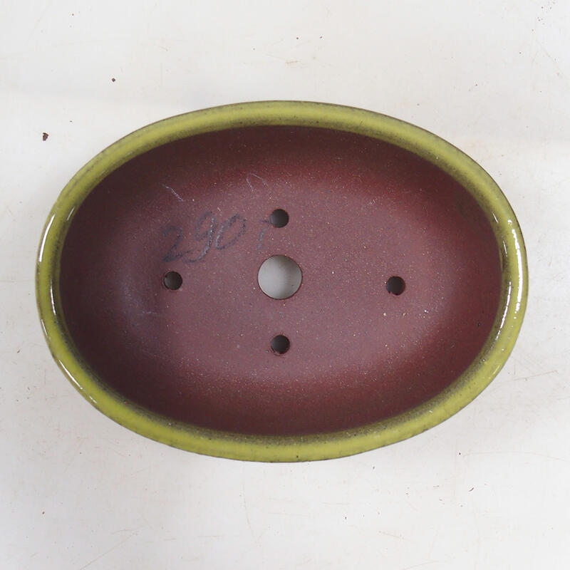 Bol pour bonsaïs 15,5 x 11,5 x 4,5 cm, jaune