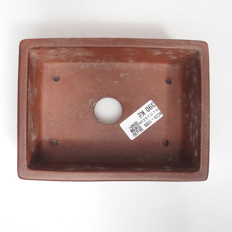 Bol pour bonsaï 15,5 x 11,5 x 6,5 cm, couleur marron