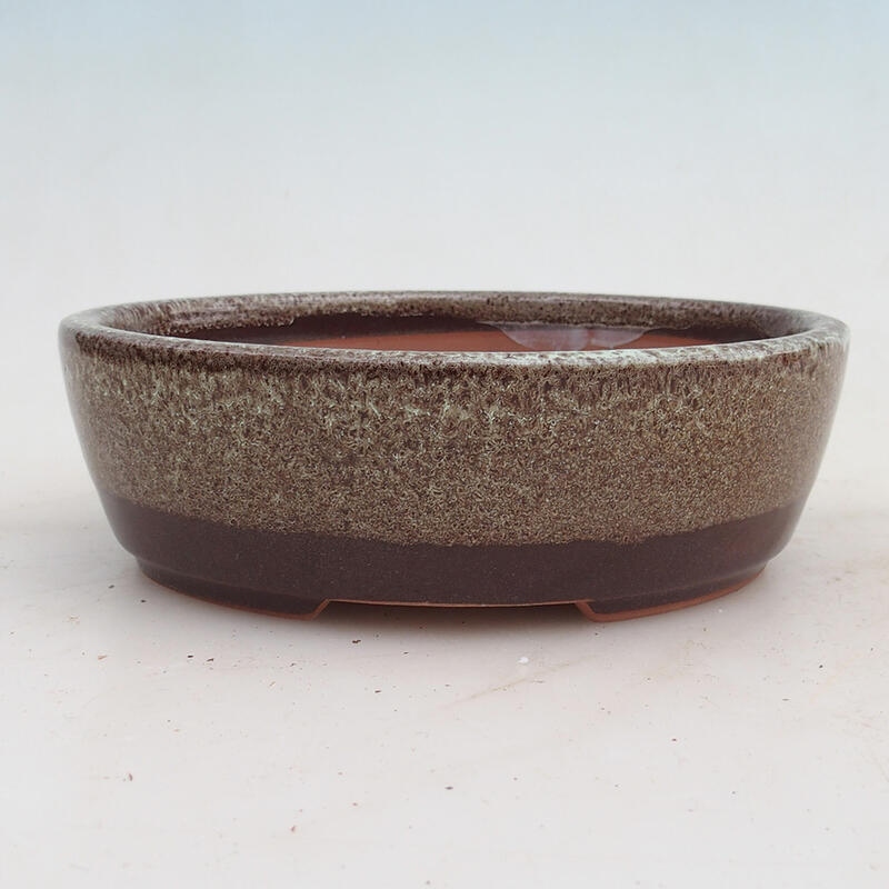 Bol pour bonsaïs 15,5 x 13 x 5 cm, brun