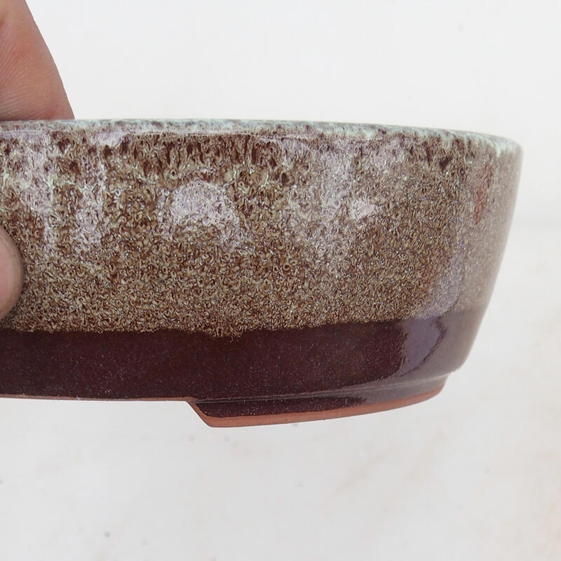 Bol pour bonsaïs 15,5 x 13 x 5 cm, brun