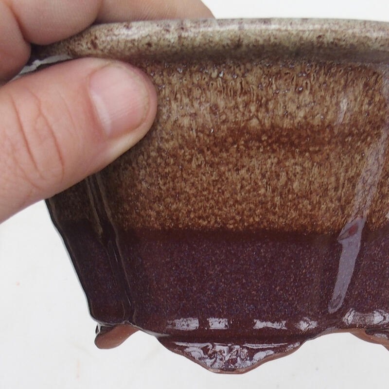 Bol pour bonsaï 15,5 x 13 x 7,5 cm, couleur marron