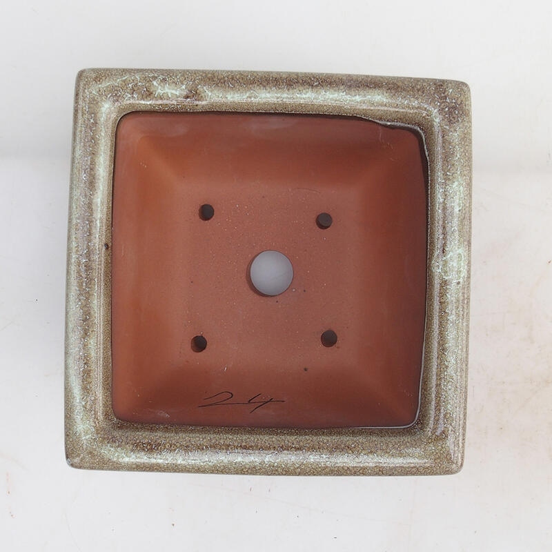 Bol bonsaï 15,5 x 15,8 x 8 cm, couleur brun bordeaux