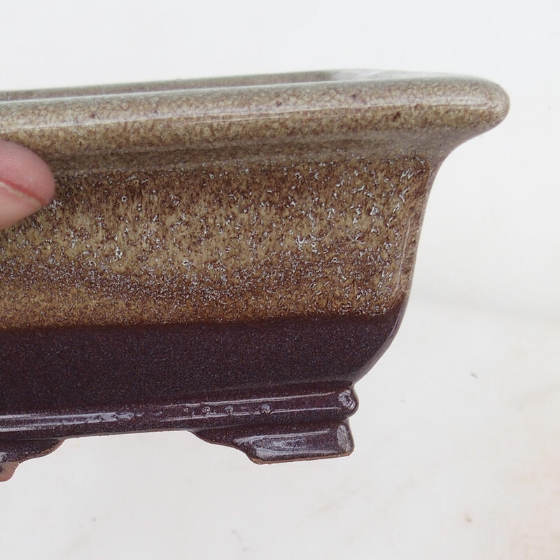 Bol bonsaï 15,5 x 15,8 x 8 cm, couleur brun bordeaux