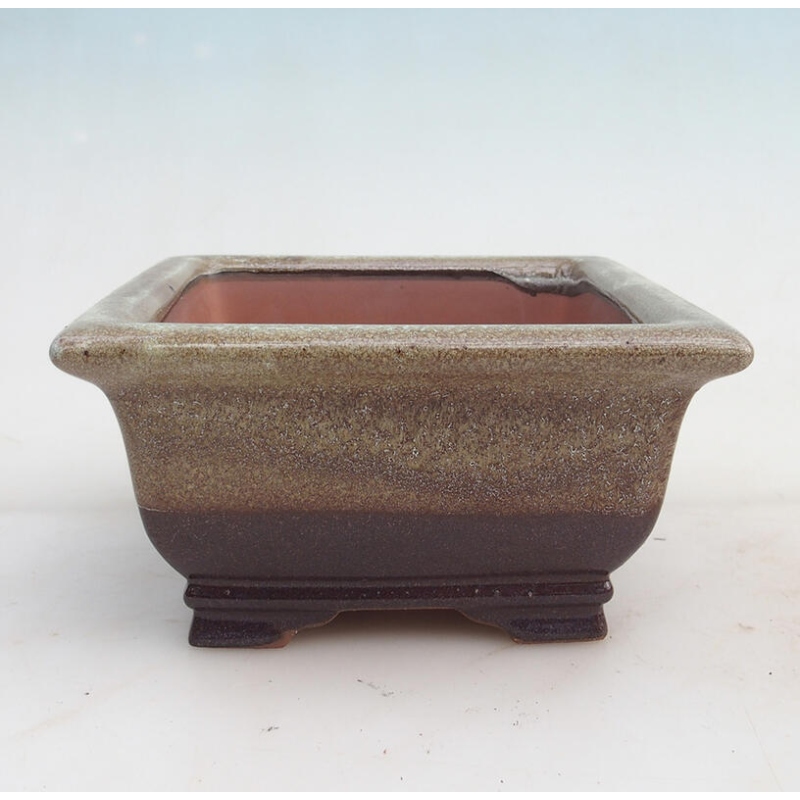 Bol bonsaï 15,5 x 15,8 x 8 cm, couleur brun bordeaux