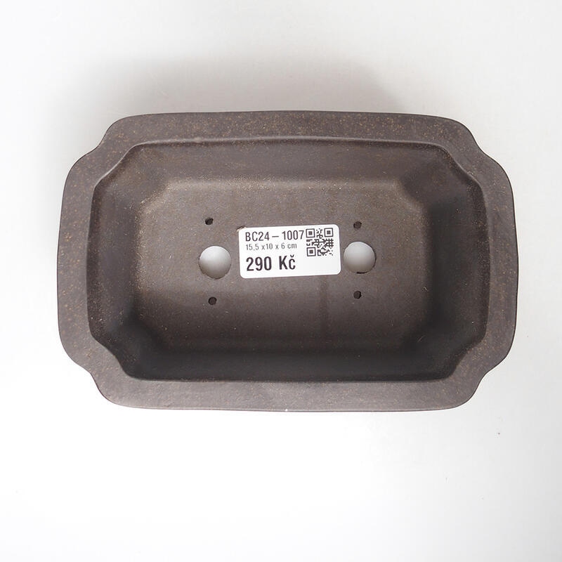 Bol pour bonsaï 15 x 10 x 6 cm, ocre brunâtre