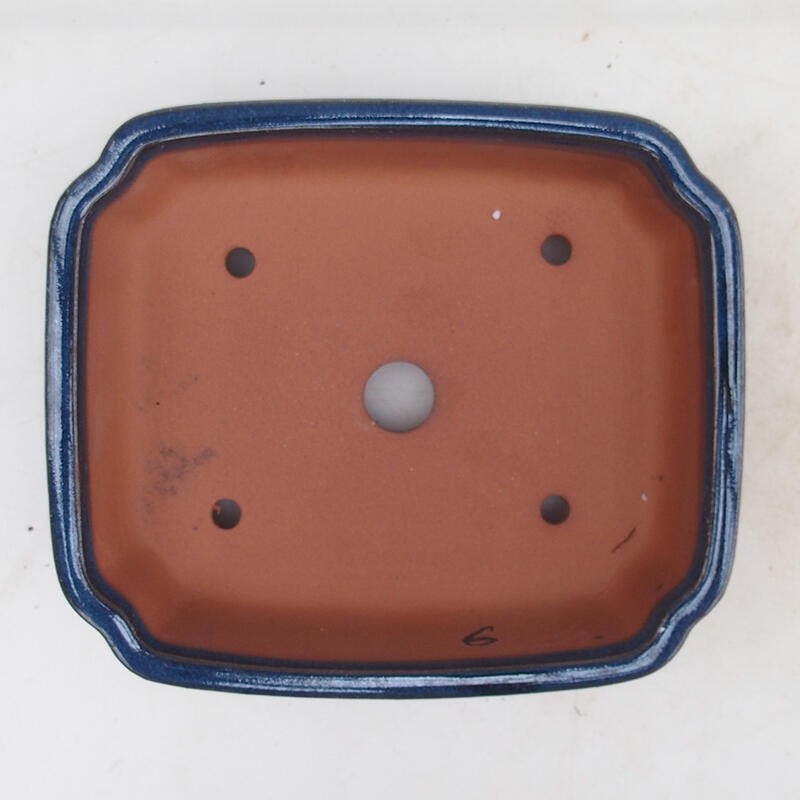 Bol pour bonsaïs 15 x 13 x 5 cm, couleur bleu