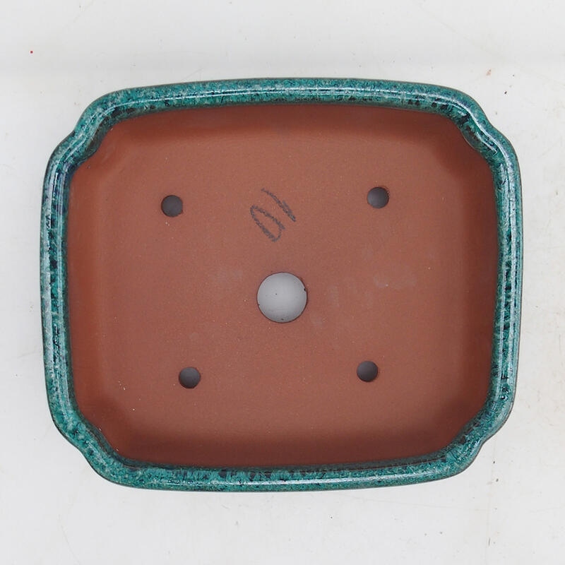 Bol pour bonsaïs 15 x 13 x 5 cm, vert