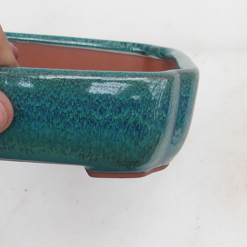 Bol pour bonsaïs 15 x 13 x 5 cm, vert