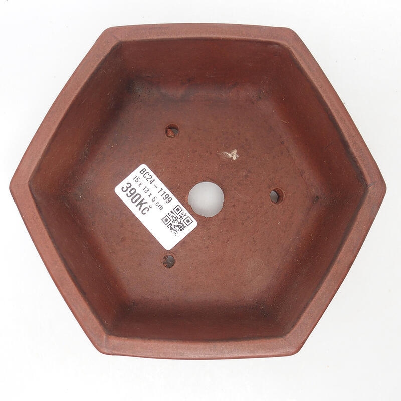 Bol pour bonsaïs 15 x 14 x 5,5 cm, brun