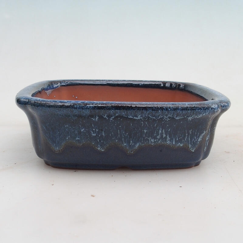 Bol pour bonsaïs 15 x 15 x 4,5 cm, couleur bleu