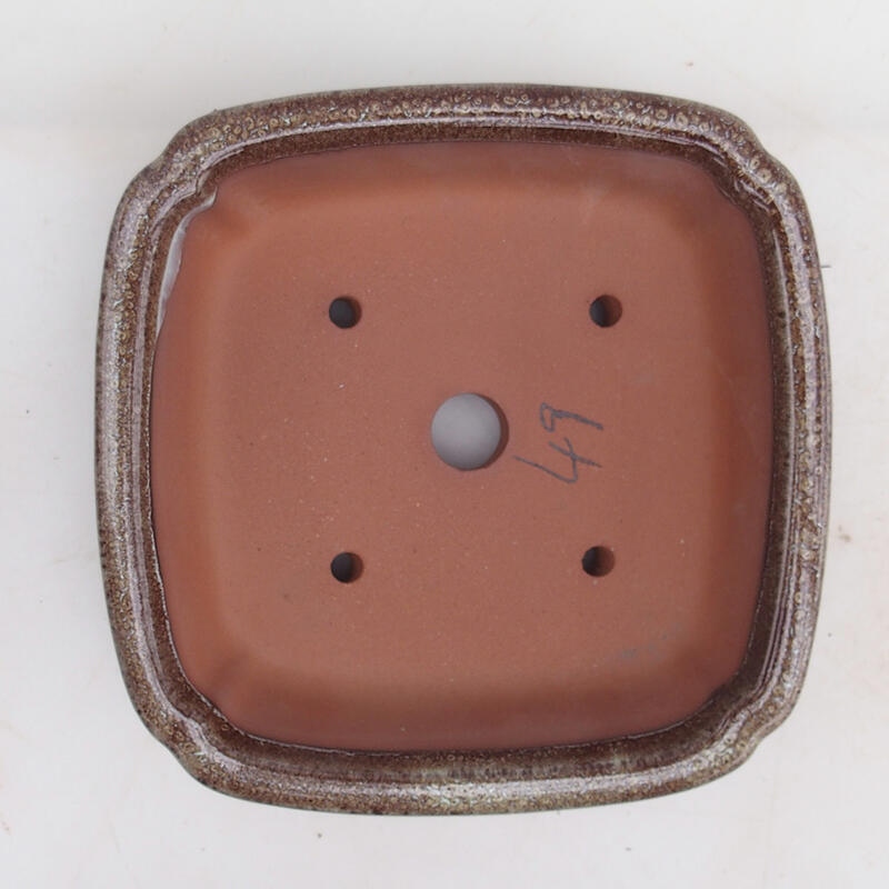 Bol bonsaï 15 x 15 x 4,5 cm, couleur brun bordeaux