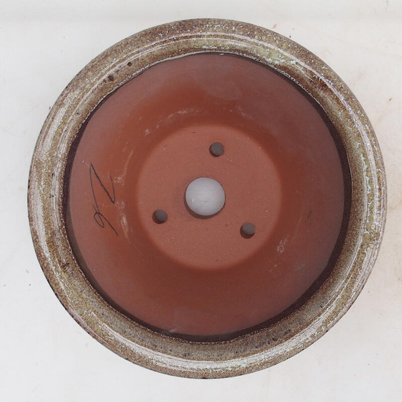 Bol pour bonsaïs 15 x 15 x 7 cm, couleur brun bordeaux