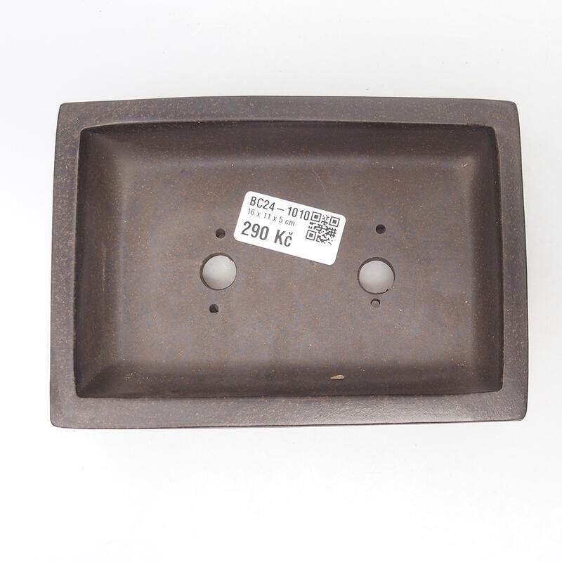 Coupe bonsaï 16,5 x 11,5 x 5 cm, couleur brun ocre