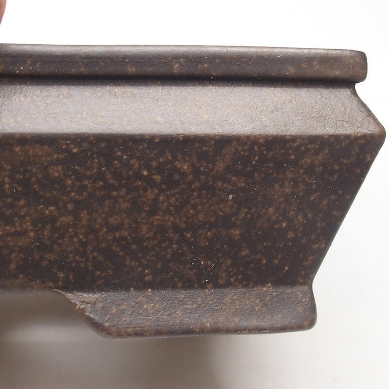 Coupe bonsaï 16,5 x 11,5 x 5 cm, couleur brun ocre