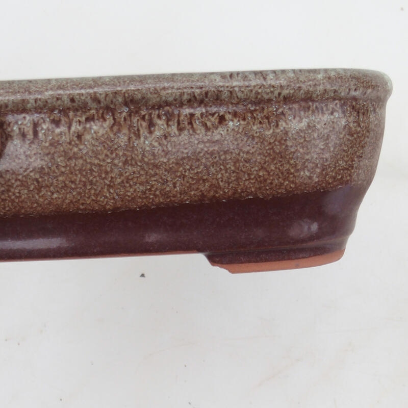 Bol pour bonsaïs 16,5 x 12 x 5 cm, brun