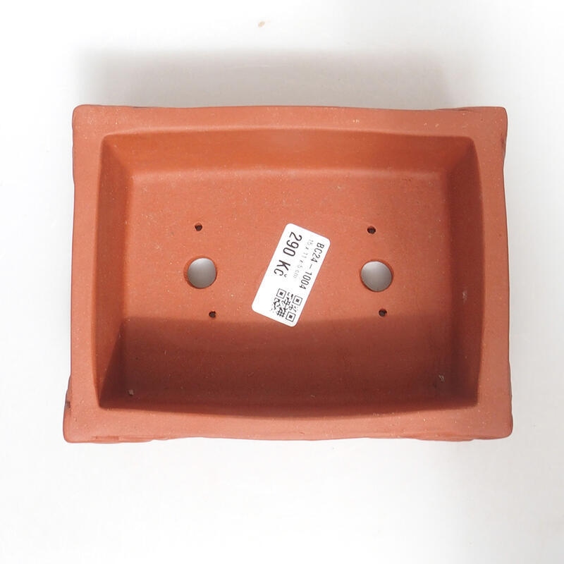 Coupe bonsaï 16 x 12 x 7 cm, couleur brique