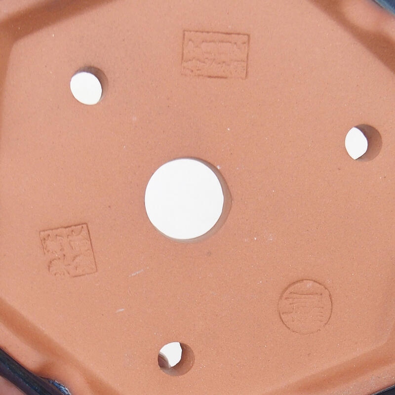 Bol pour bonsaïs 16 x 14 x 5 cm, couleur bleu