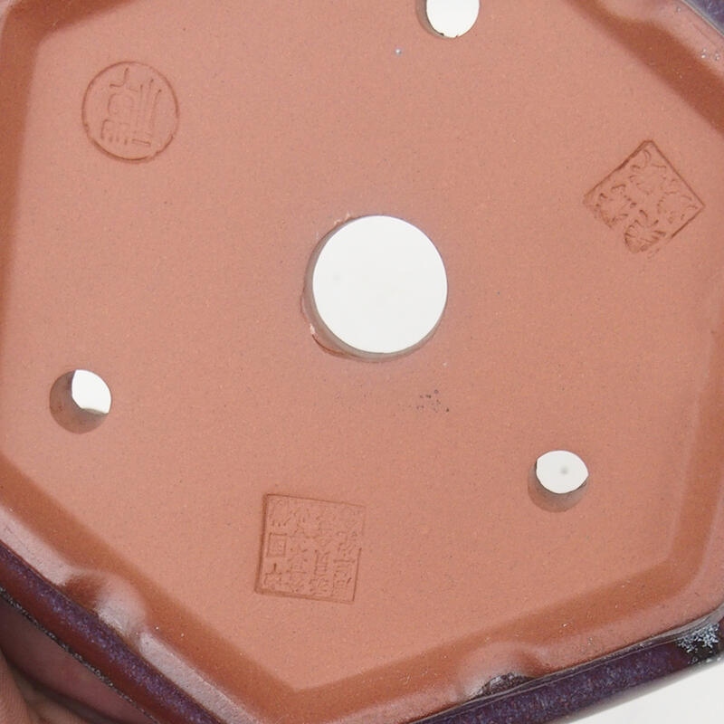 Bol pour bonsaïs 16 x 14 x 5 cm, bordeaux