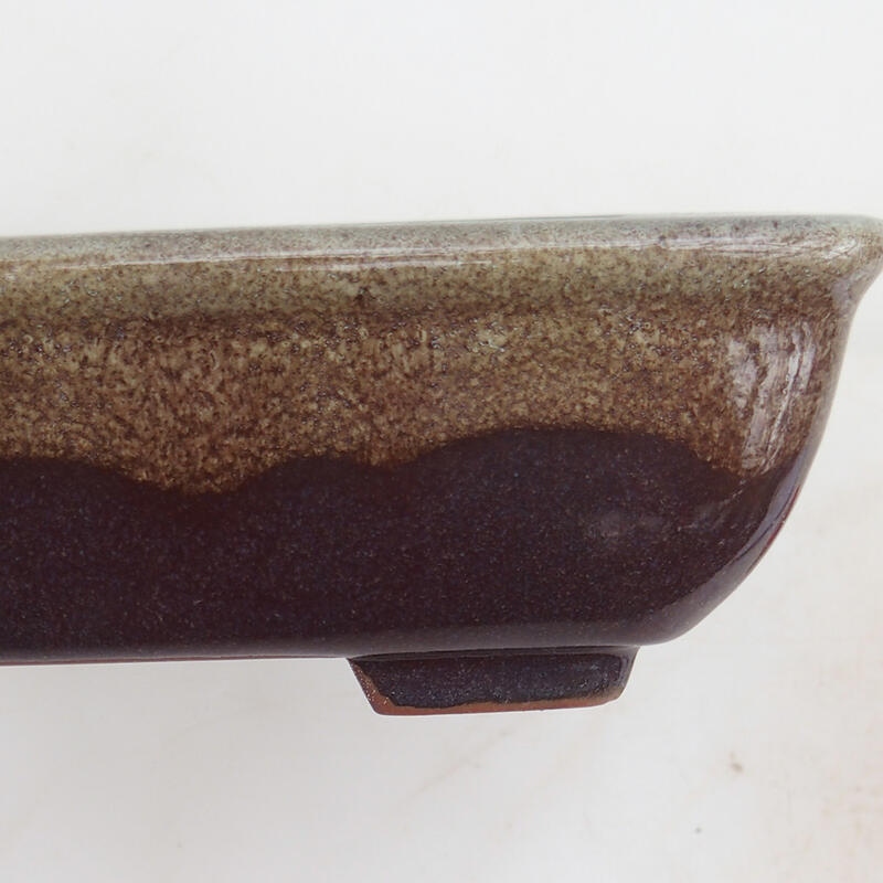 Bol bonsaï 17,5 x 13 x 5,5 cm, couleur bordeaux