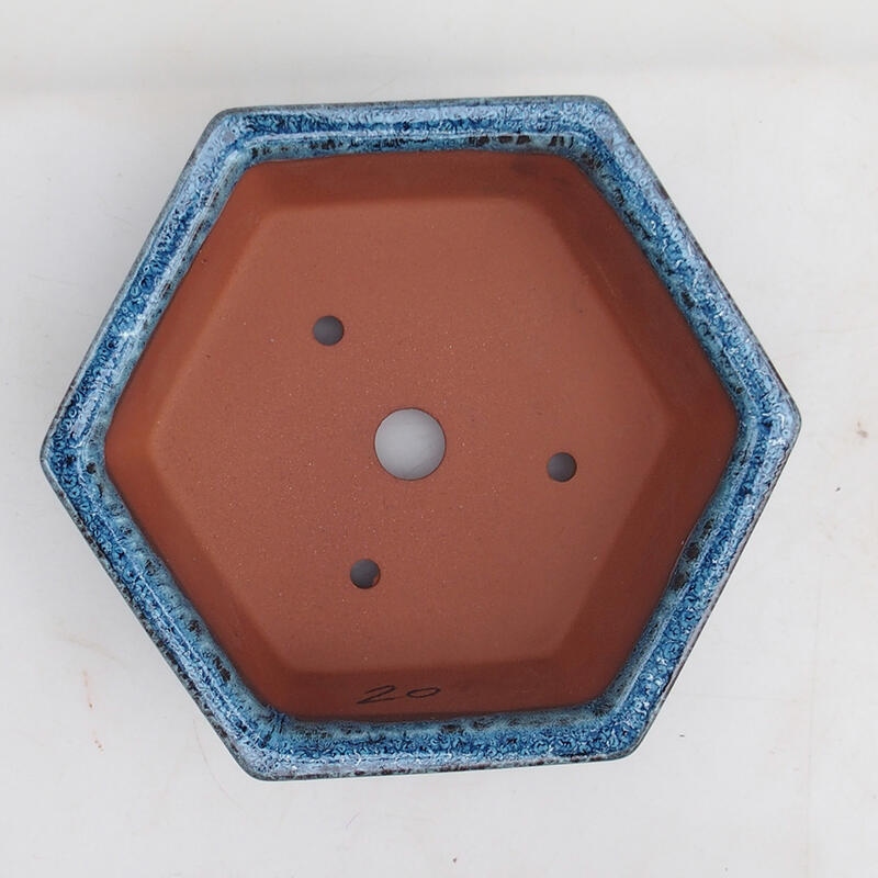 Bol à bonsaï 17 x 15 x 6 cm, couleur bleu