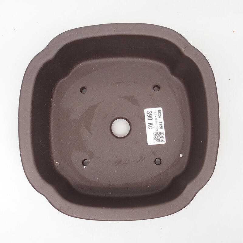 Bol à bonsaï 18,5 x 18,5 x 7 cm, couleur marron