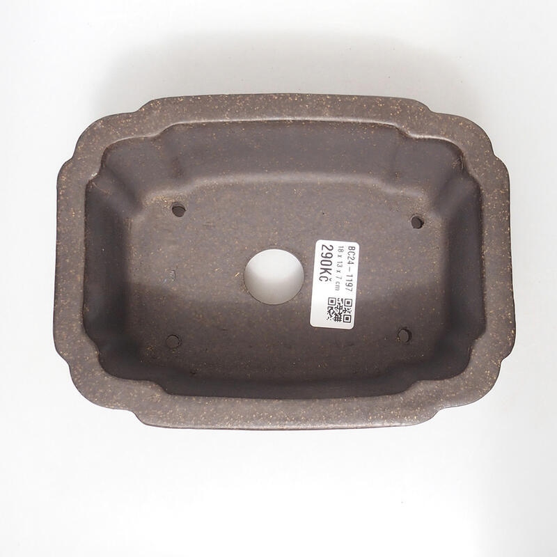 Bol à bonsaï 18 x 13,5 x 7 cm, couleur ocre brunâtre