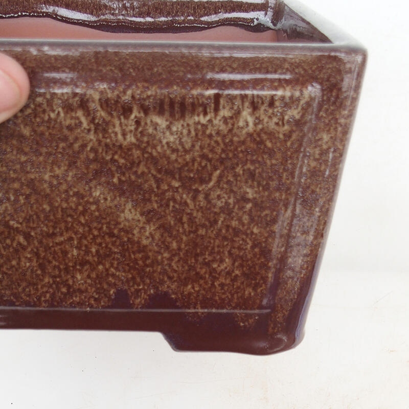 Bol à bonsaï 19,5 x 19,5 x 10 cm, couleur marron