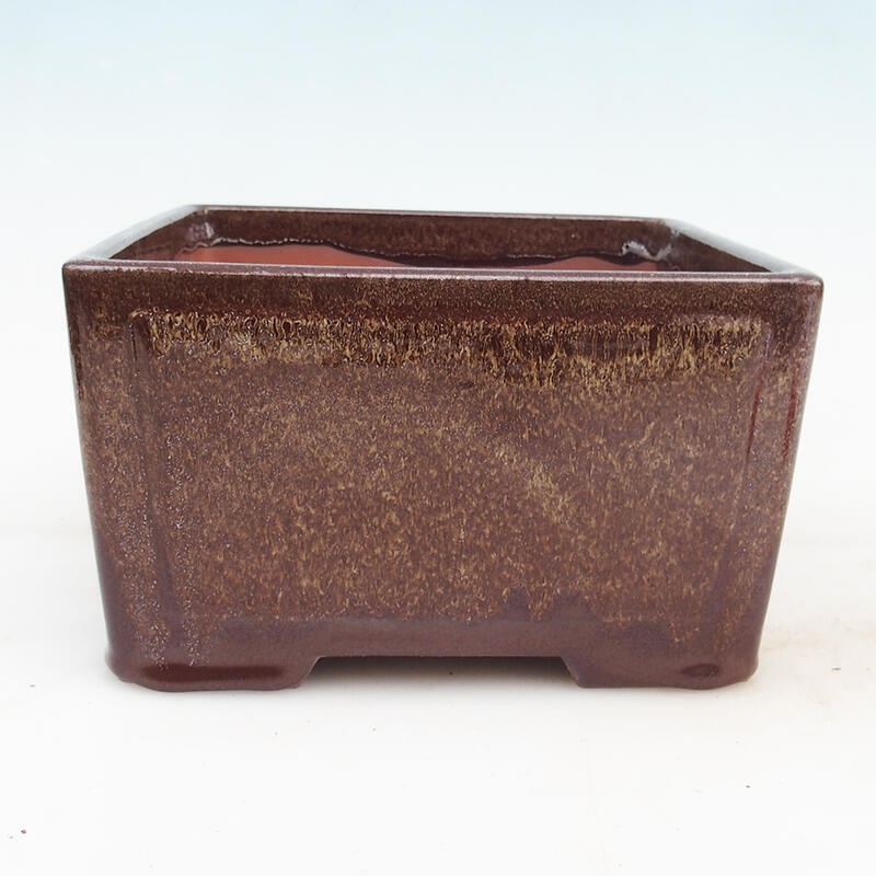 Bol à bonsaï 19,5 x 19,5 x 10 cm, couleur marron