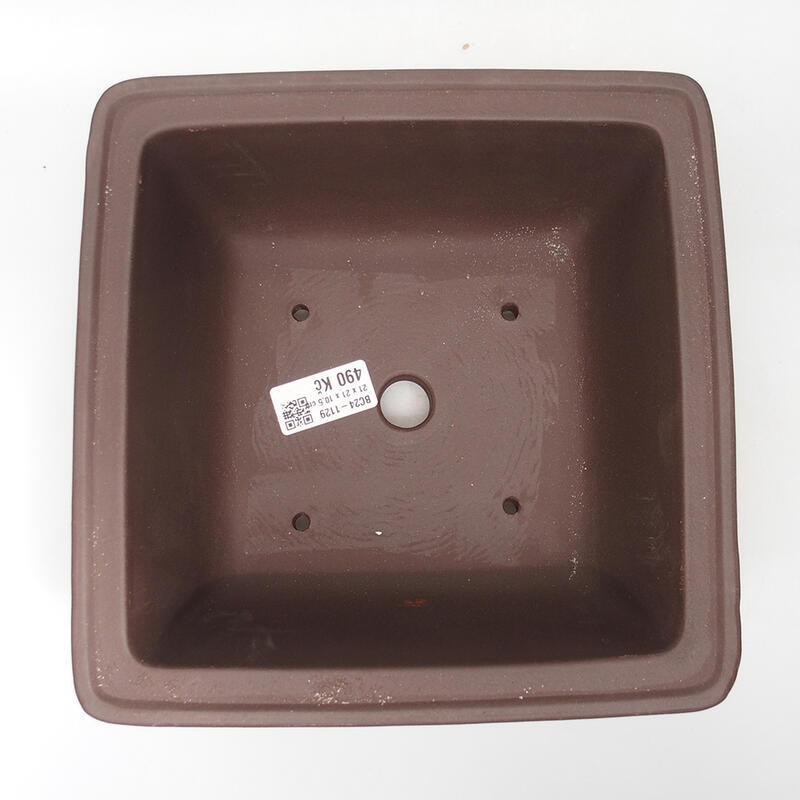 Bol pour bonsaï 20,5 x 20,5 x 10 cm, couleur marron