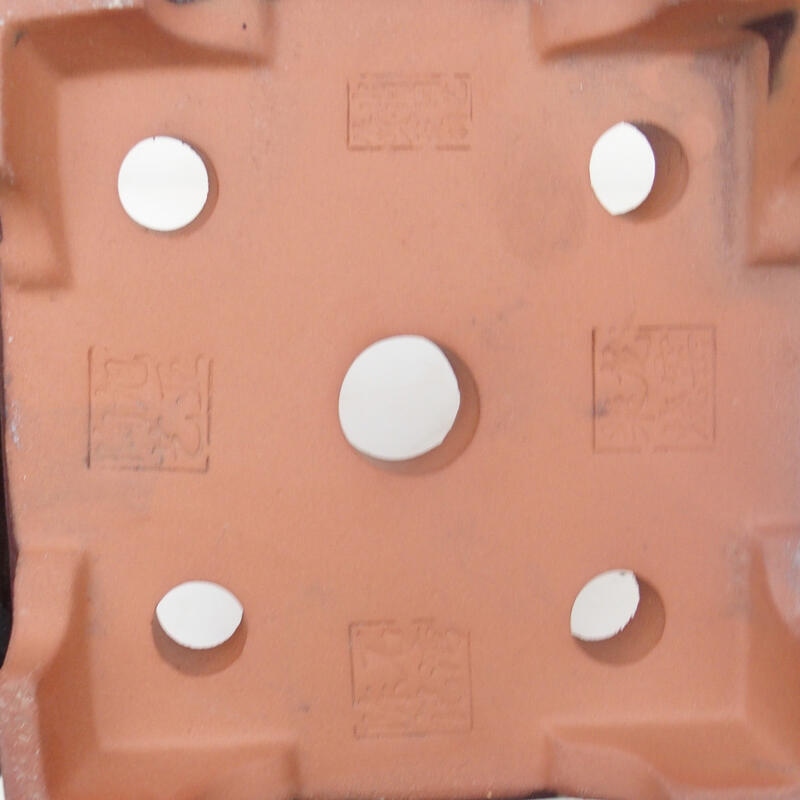 Bol pour bonsaï 20,5 x 20,5 x 15 cm, couleur marron