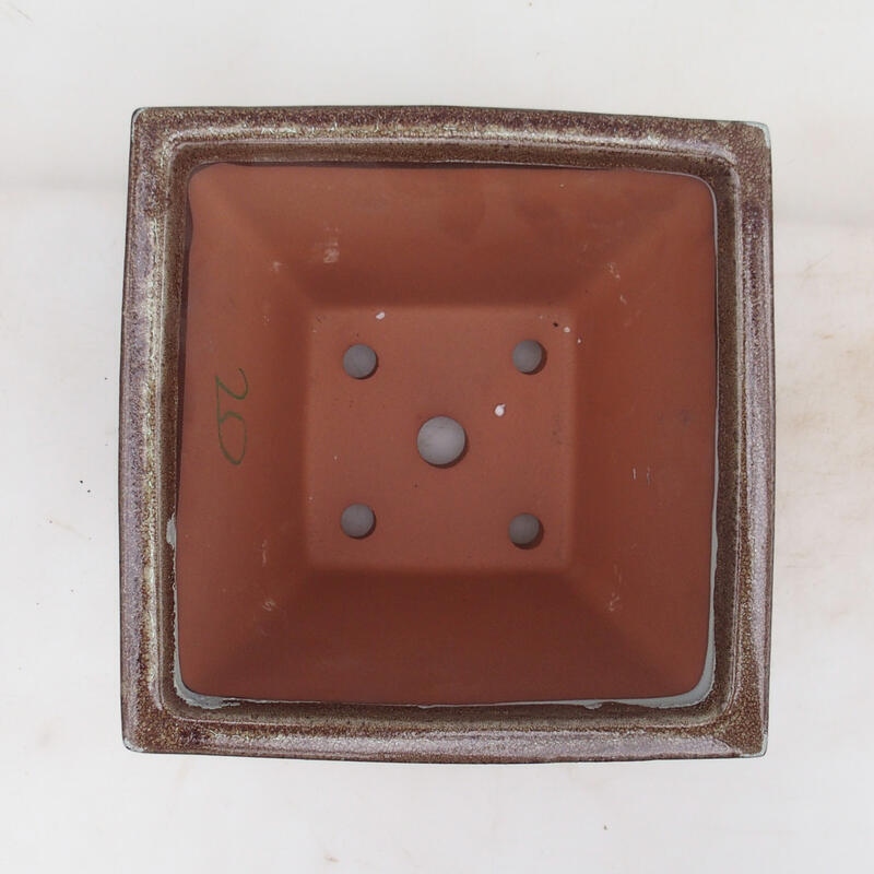 Bol pour bonsaï 20,5 x 20,5 x 15 cm, couleur marron