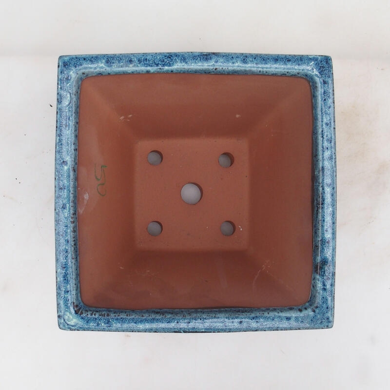 Bol à bonsaï 20,5 x 20,5 x 15 cm, couleur bleu
