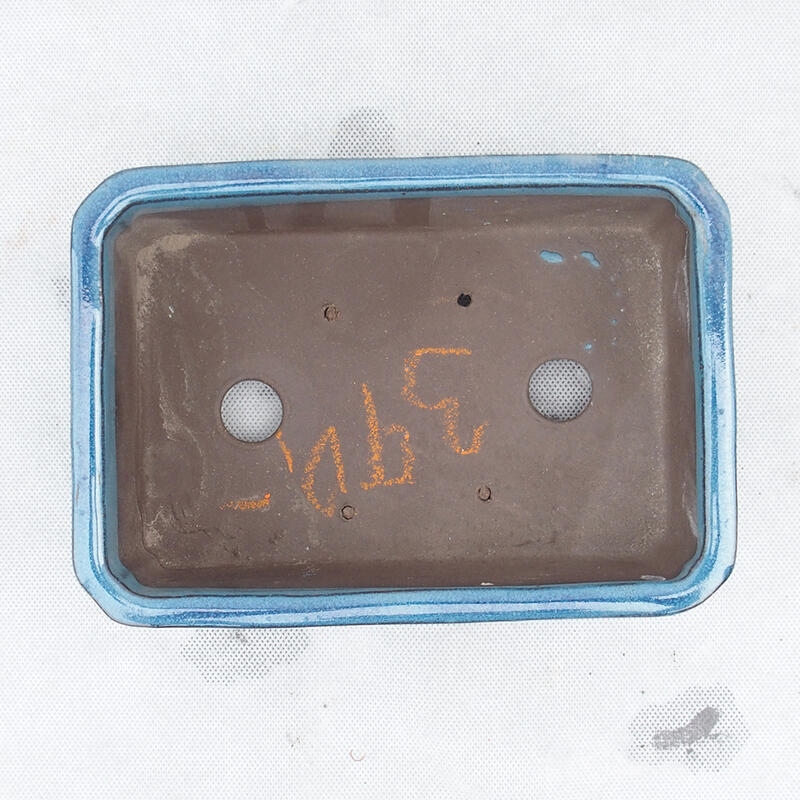 Bol à bonsaï 20 x 14 x 6,5 cm, couleur bleu