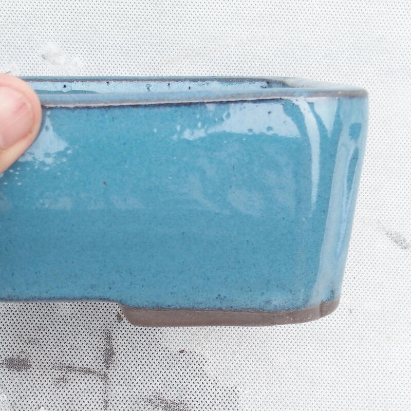 Bol à bonsaï 20 x 14 x 6,5 cm, couleur bleu